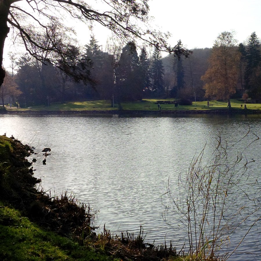 Deutsch-Französischen Garten