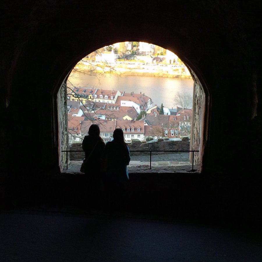 View of Heidelberg from the castle