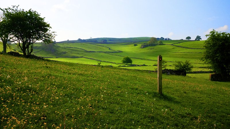 Spring in the Countryside
